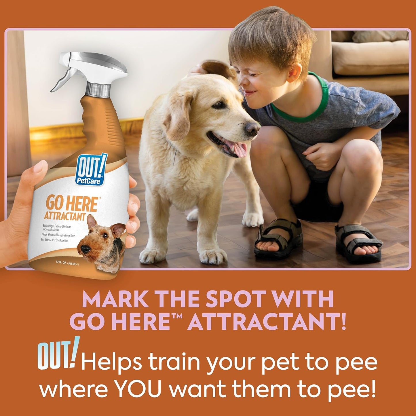 OUT! PetCare Go Here Attractant Indoor and Outdoor Dog Training Spray | House-Training Aid for Puppies and Dogs | 32 oz