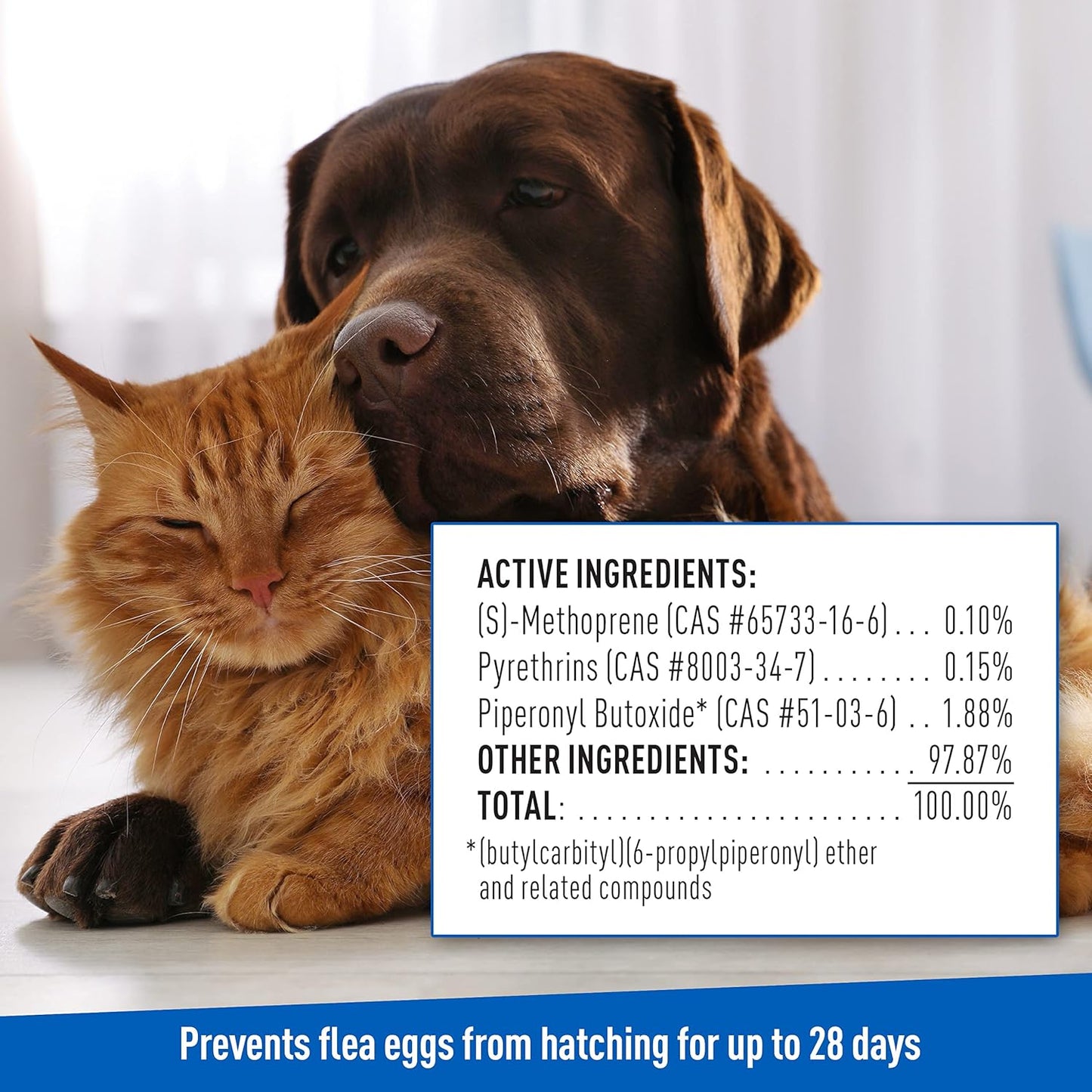 Plus Flea & Tick Shampoo with Precor for Cats, Kittens, Dogs & Puppies