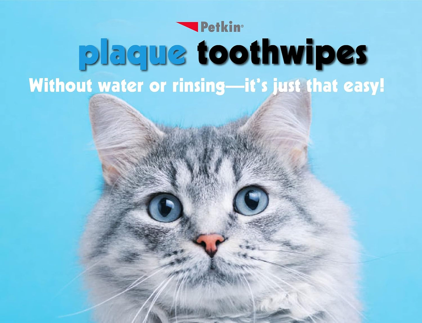 Petkin Cat and Dog Dental Wipes, 80 Wipes (Fresh Mint) (80 Wipes Total)