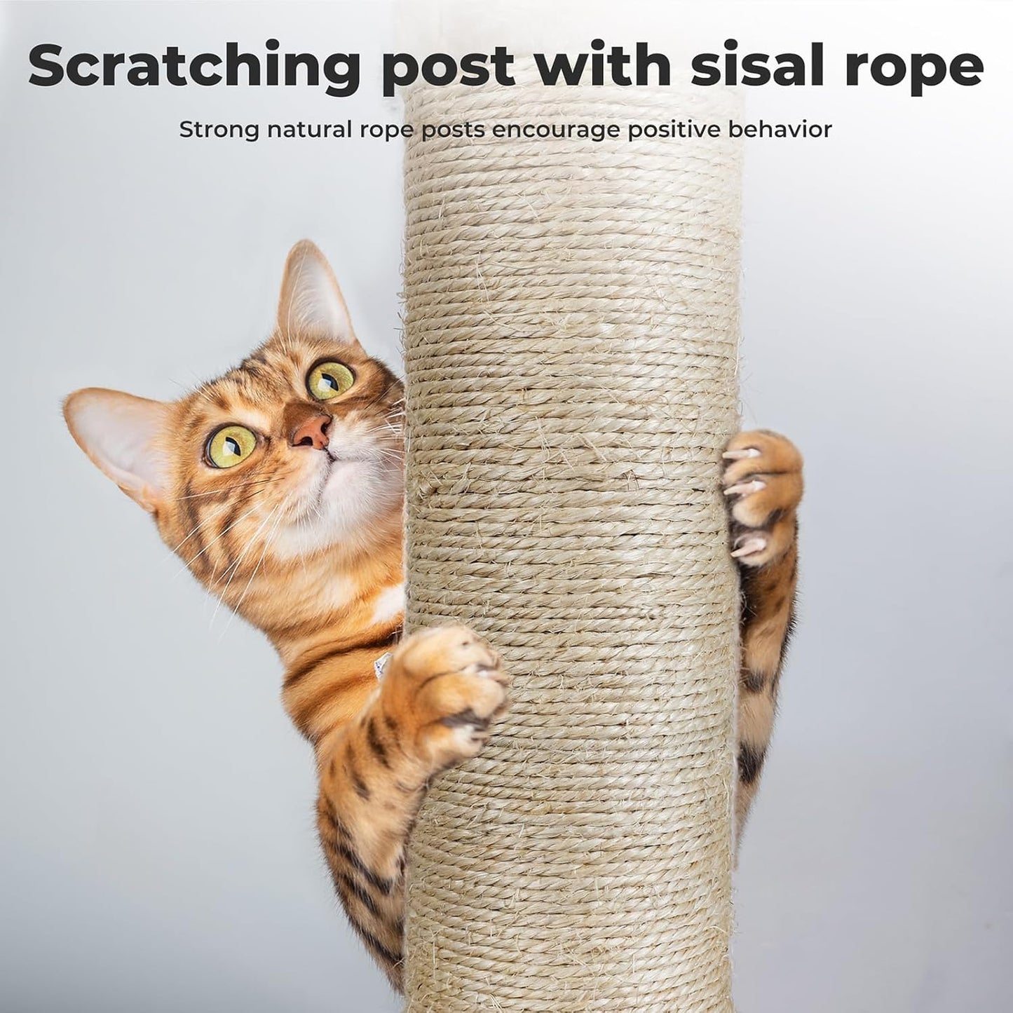 Pawz Large Cat Tree Tower Condo for Indoor Cats, Scratching Post, Soft Plush Multi-Level Climbing Tree, Activity Center, Cat Condo and Big Hammock, House, Dangling Ball, Adjustable Height 230CM-275CM