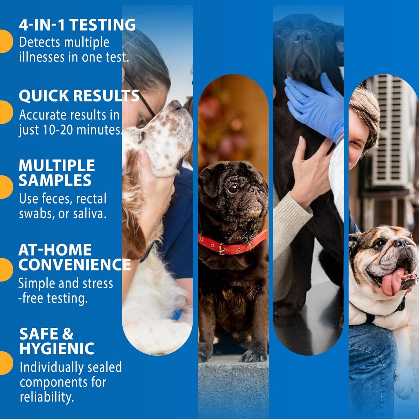 Canine/Dog HealthCheck 4-in-1 Test Kit ,Reliable Detection of Common Canine Illnesses