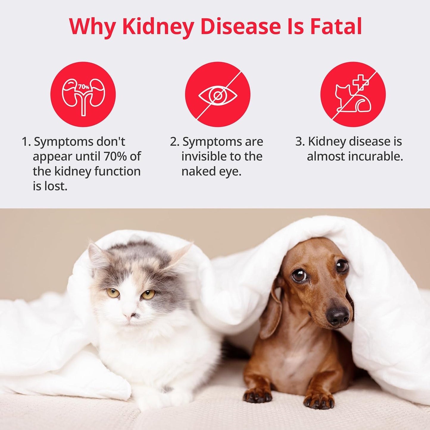 Urine Test Strips for Dogs & Cats, Renal Function Test at Home