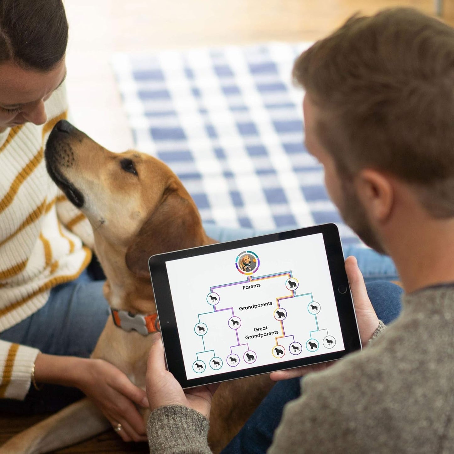 Embark Breed Identification Kit - Most Accurate Dog DNA Testing Kit