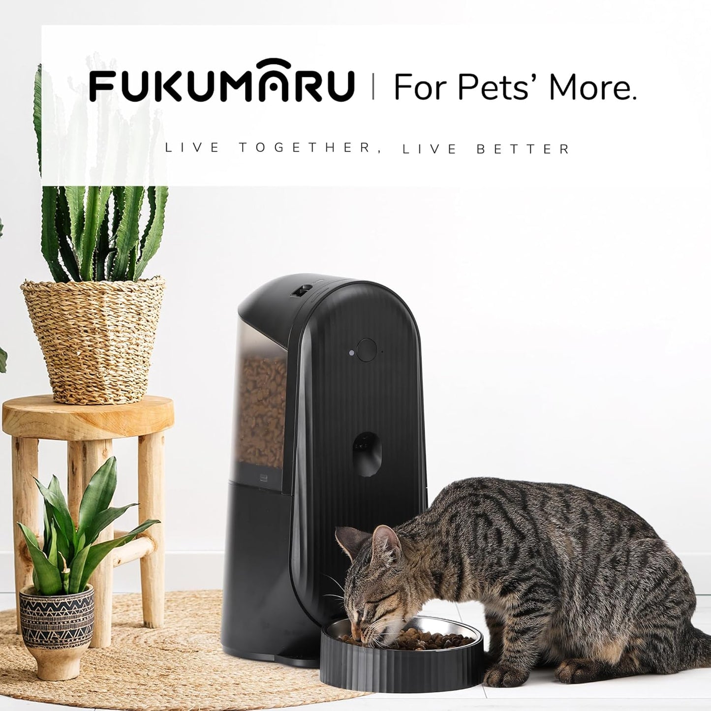 Automatic Cat Feeder, 2 in 1 Automatic Pet Feeders with Camera and Audio, Support DIY Meals and Timed Control WiFi Cat Food Dispenser, Suit for Cat