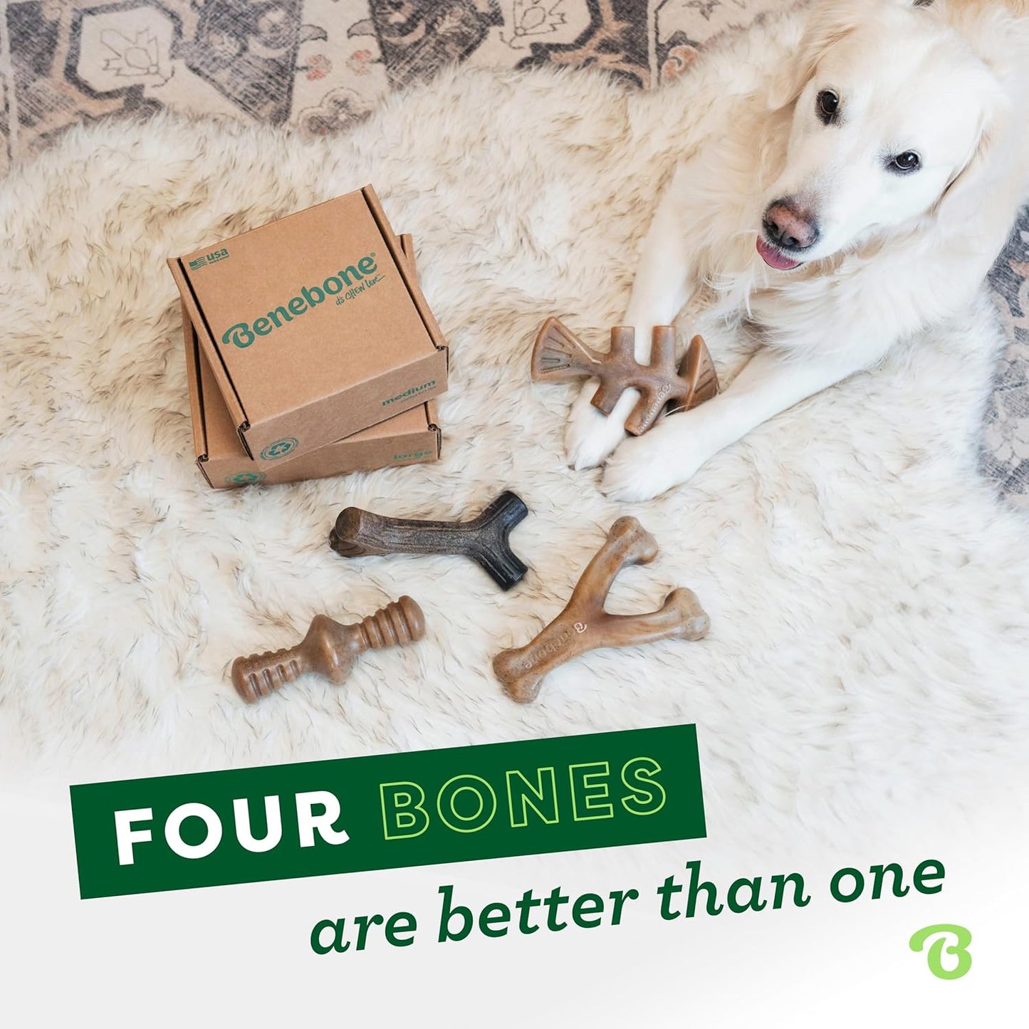 Benebone Medium 4-Pack Dog Chew Toys for Aggressive Chewers, Made in USA, small