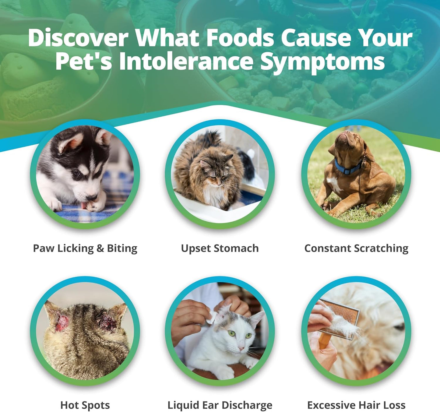 5Strands Pet Food Intolerance Test, at Home Sensitivity Test for Dogs & Cats, 270 Items, Hair Analysis
