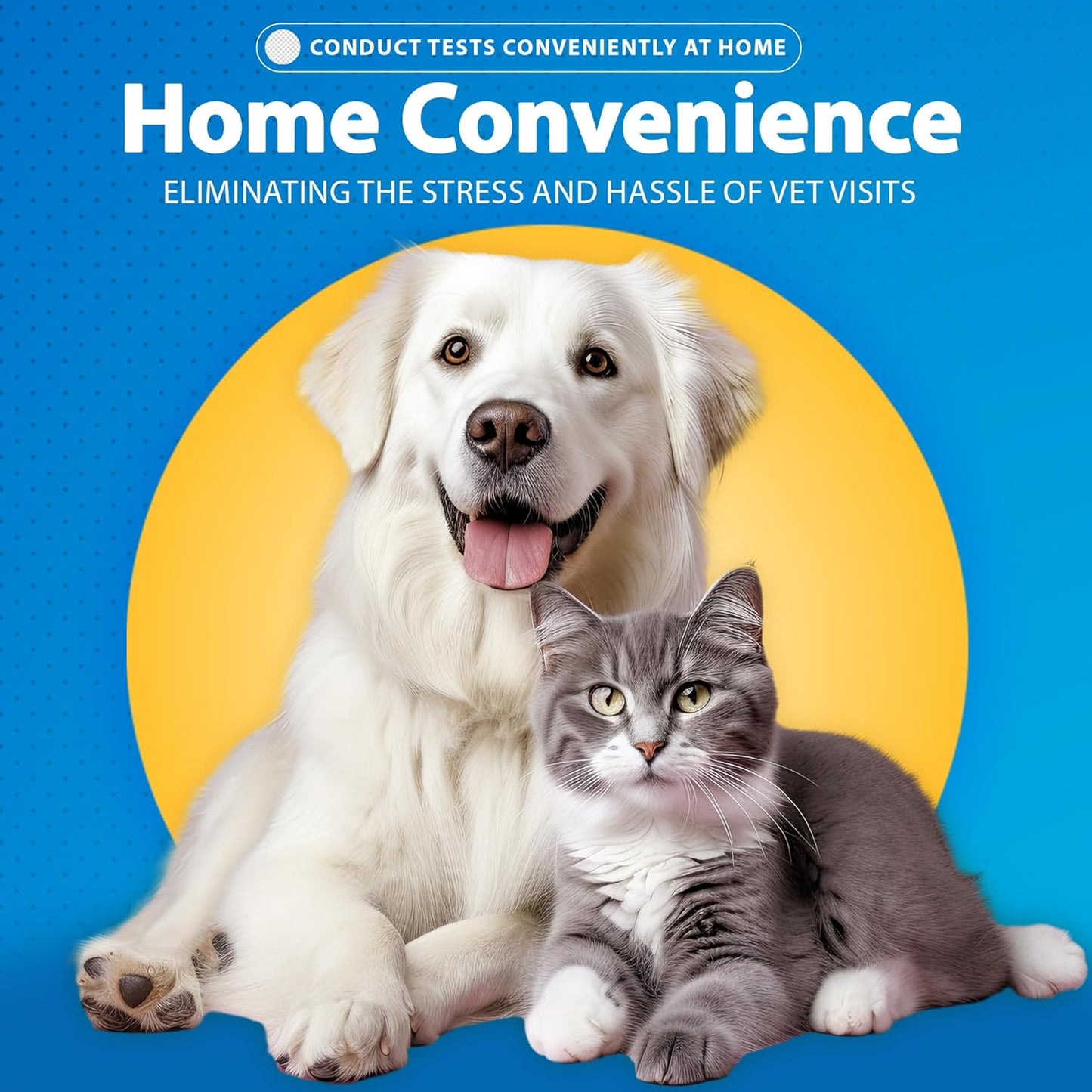 Dog Health Test Kit: 4 Comprehensive Detection Pet Test Strips for Dogs | Pets Rapid At-Home Detection Kits