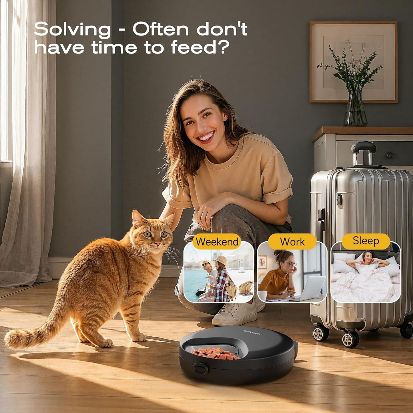 Automatic Cat Feeder Wet Food: Cordless Cat Food Dispenser with Timer - Pet Feeder with Ice Pack for Wet & Dry Food Refrigerated - Auto Wireless Small Dog Feeder Battery Power - Supply 4 Meals per Day