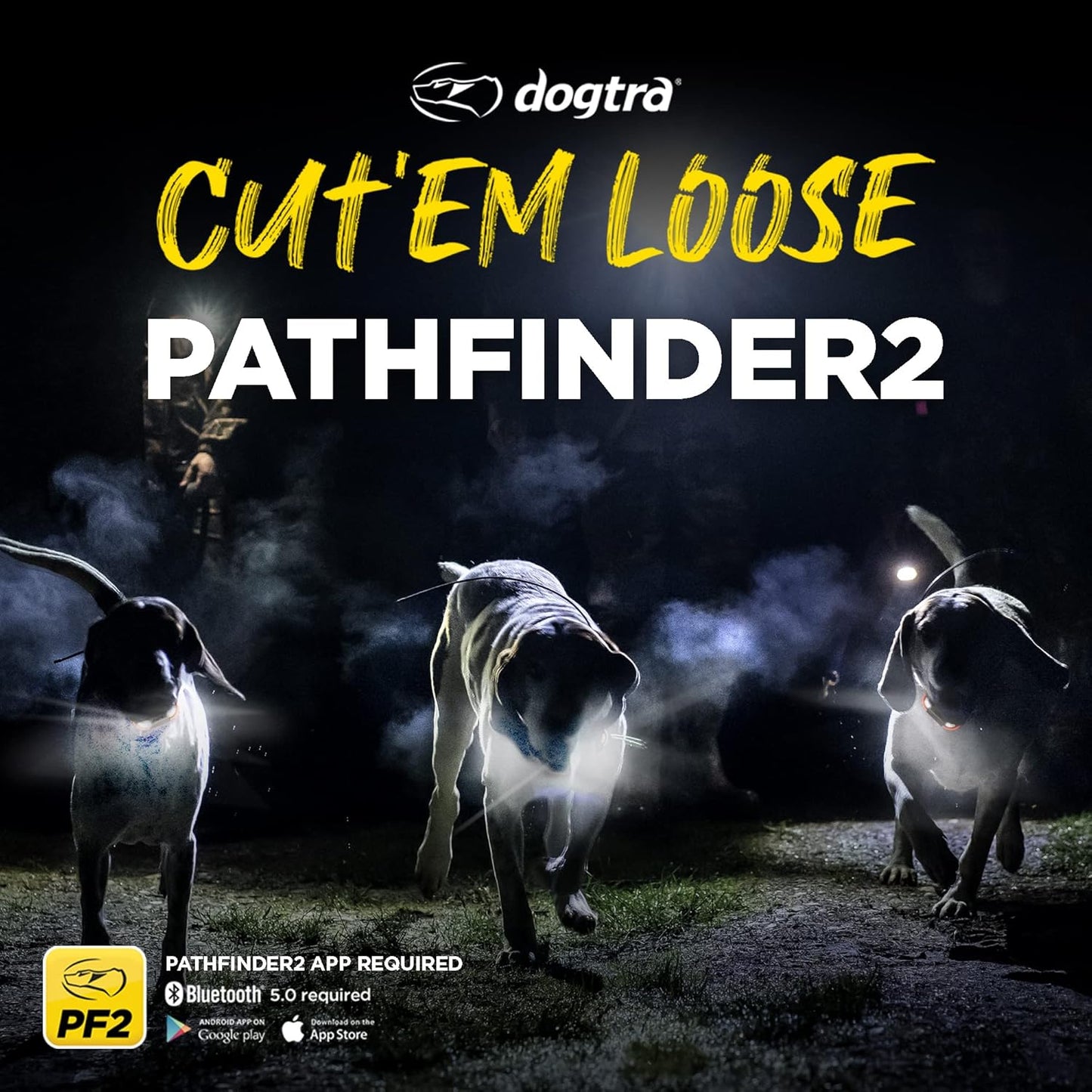 Dogtra Pathfinder 2 GPS Dog Tracker e Collar 9 Mile Long Range LED Light No Monthly fees