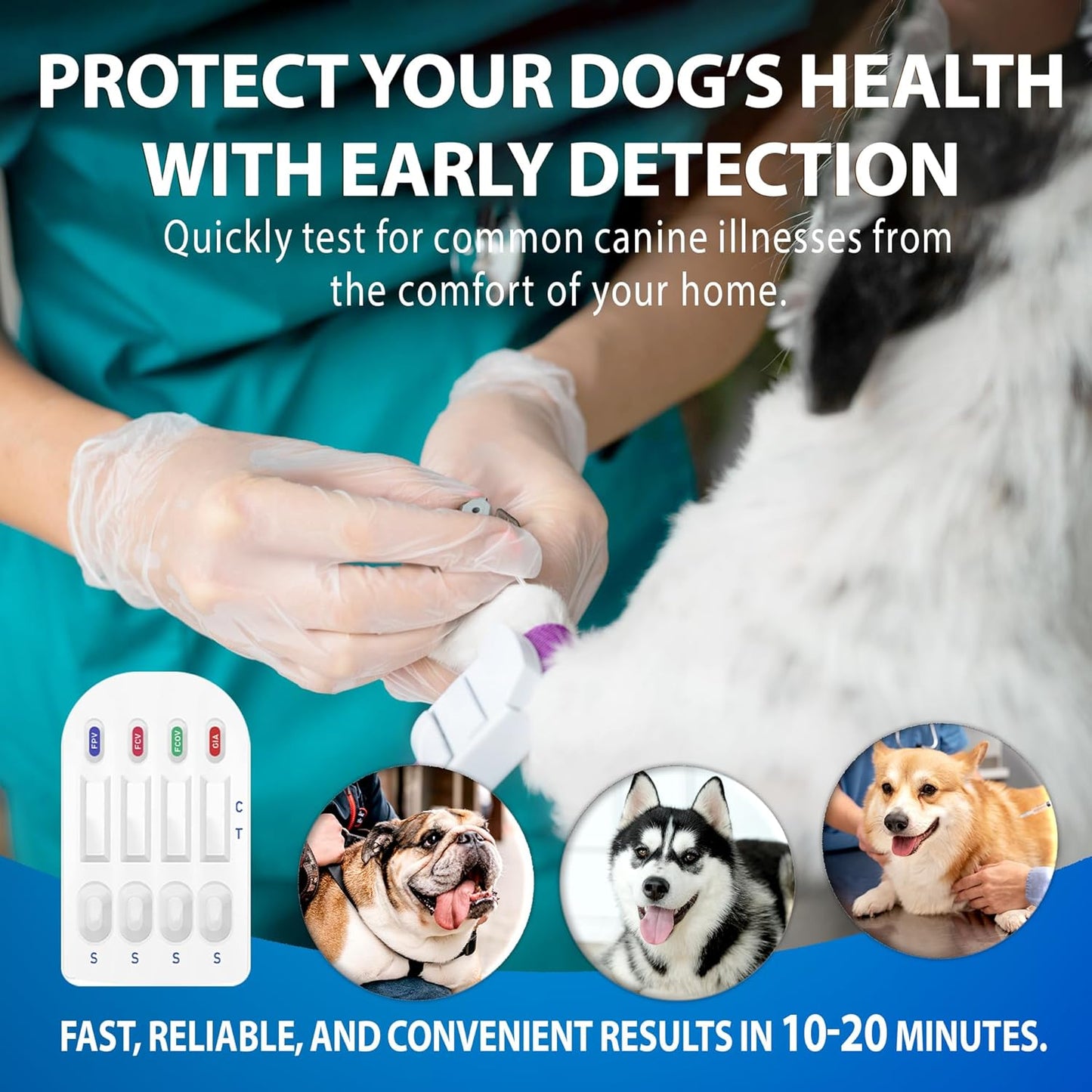 Canine/Dog HealthCheck 4-in-1 Test Kit ,Reliable Detection of Common Canine Illnesses