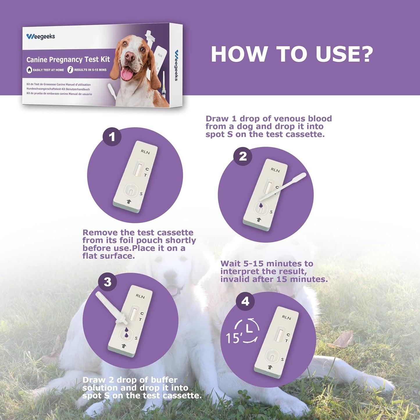 Dog Pregnancy Test Kit at Home