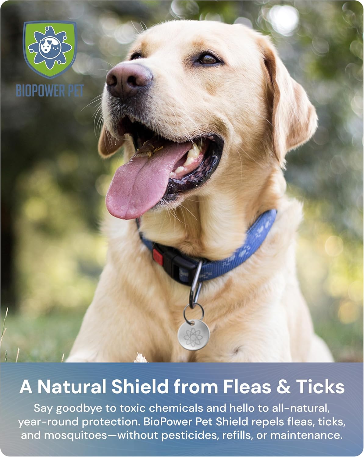 Natural Flea & Tick Repellent Collar Tag for Dogs & Cats – BioPower Pet Shield – Safe for Pets When Used as Directed – Lasts 1 Full Year - Regular Tag (1Pack)