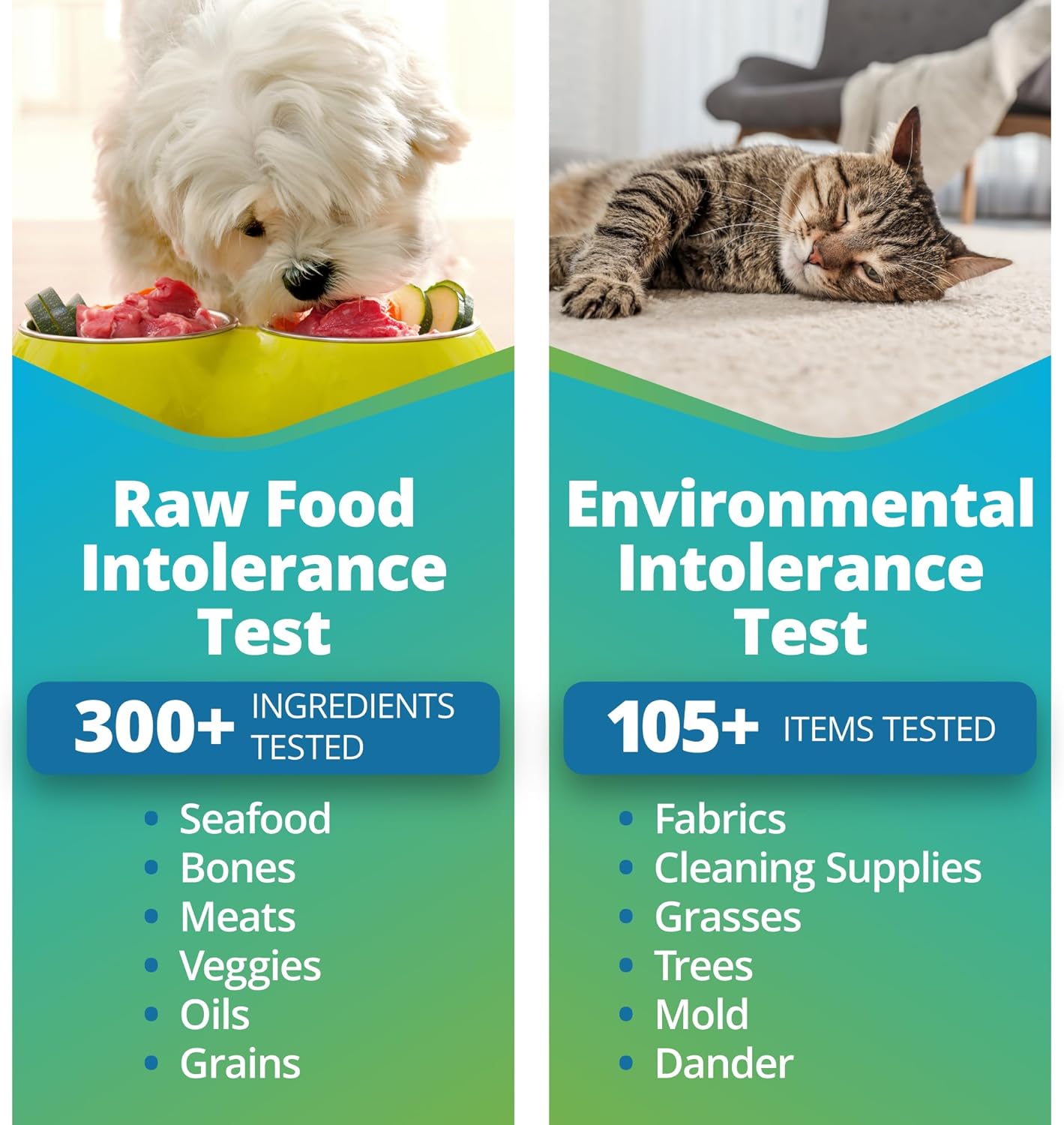 5Strands Pet Raw Food Intolerance & Environmental Sensitivity Test, at Home Test for Dogs & Cats,Results in 7 Days