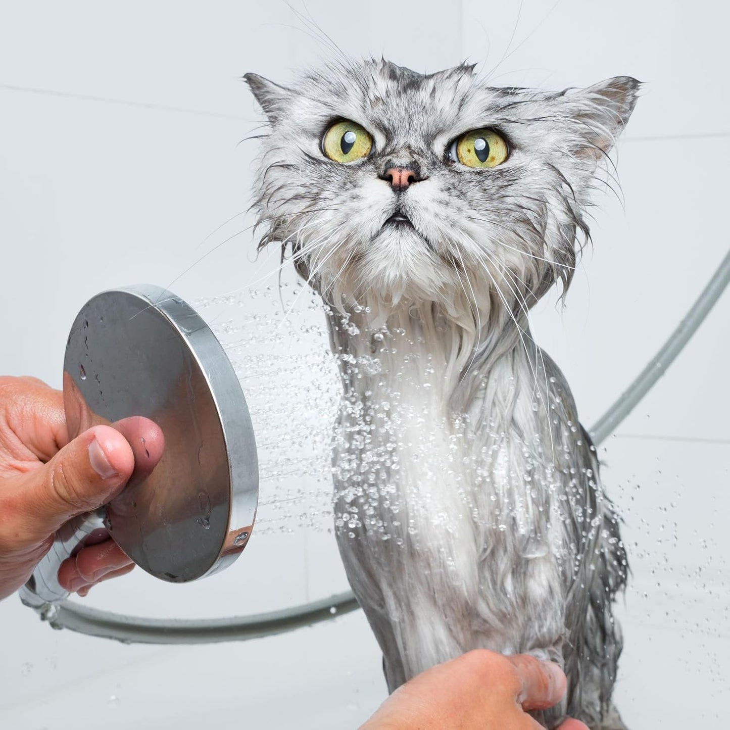 Eye Envy Moisturizing Pet Shampoo. Cleans, softens, adds Shine. Fragrance Free. Detergent Free.Glycerin enriched. Safe for Puppies and Kittens. 473ML