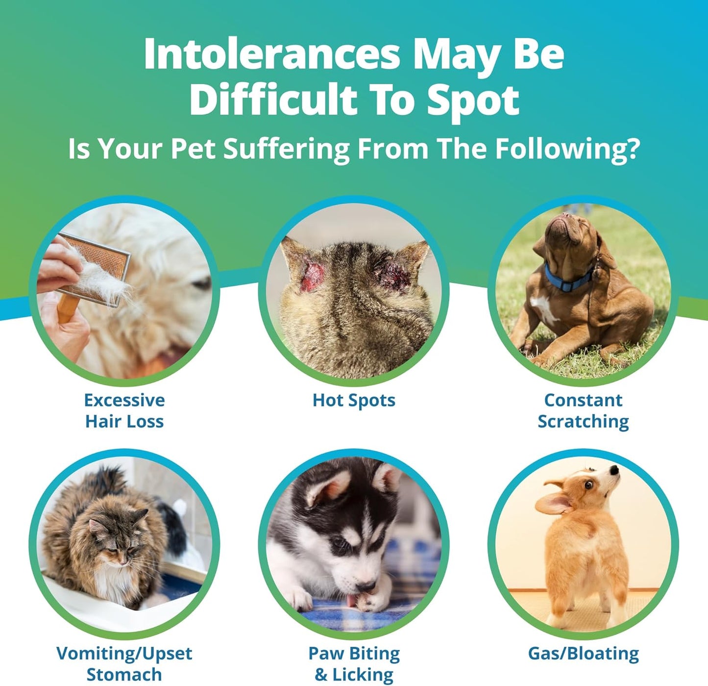 5Strands Pet Raw Food Intolerance & Environmental Sensitivity Test, at Home Test for Dogs & Cats,Results in 7 Days