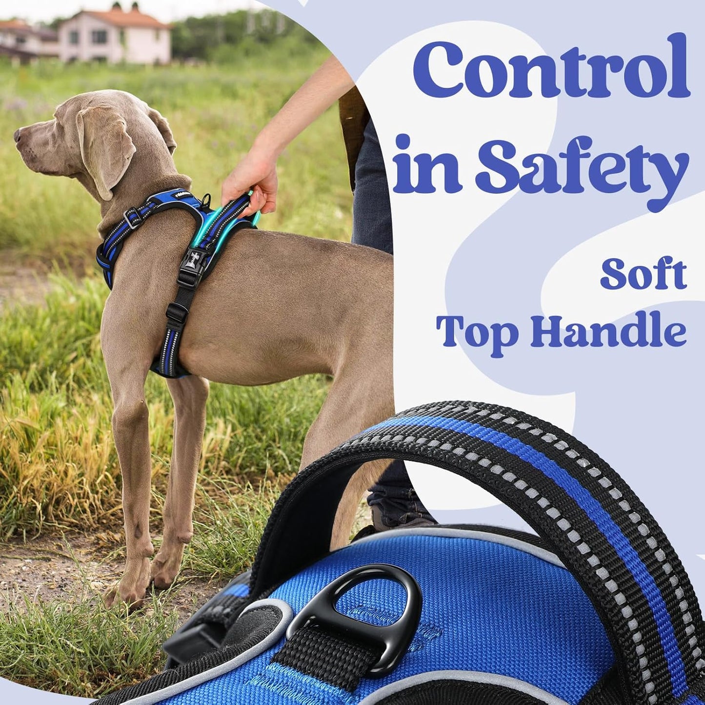 rabbitgoo Dog Harness Medium Sized, No Pull Pet Harness with 3 Buckles, Blue, M