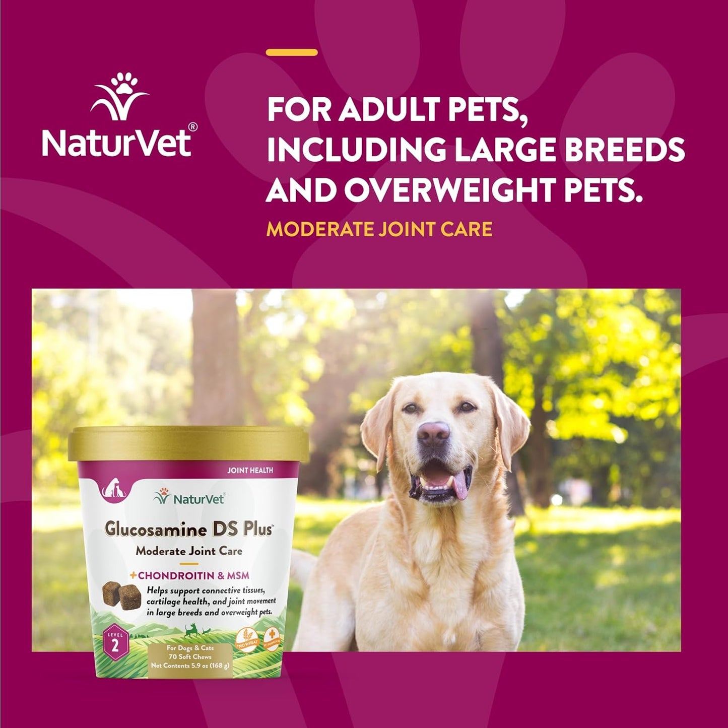 NaturVet Glucosamine DS Plus Level 2 Moderate Joint Care for Dogs and Cats, 70 ct Soft Chews, Made in USA
