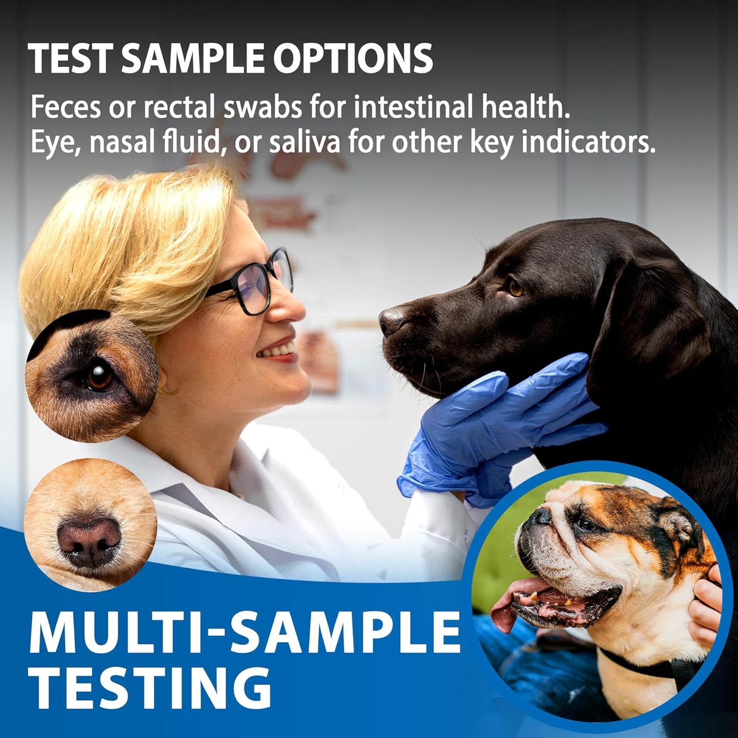Canine/Dog HealthCheck 4-in-1 Test Kit ,Reliable Detection of Common Canine Illnesses