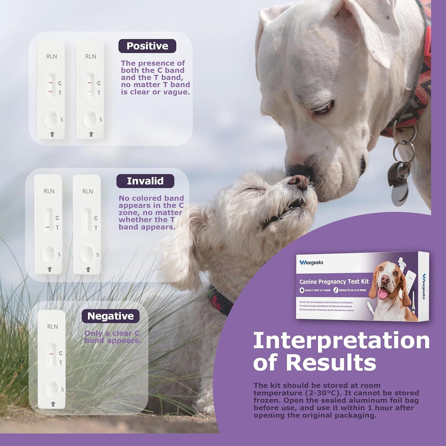 Dog Pregnancy Test Kit at Home