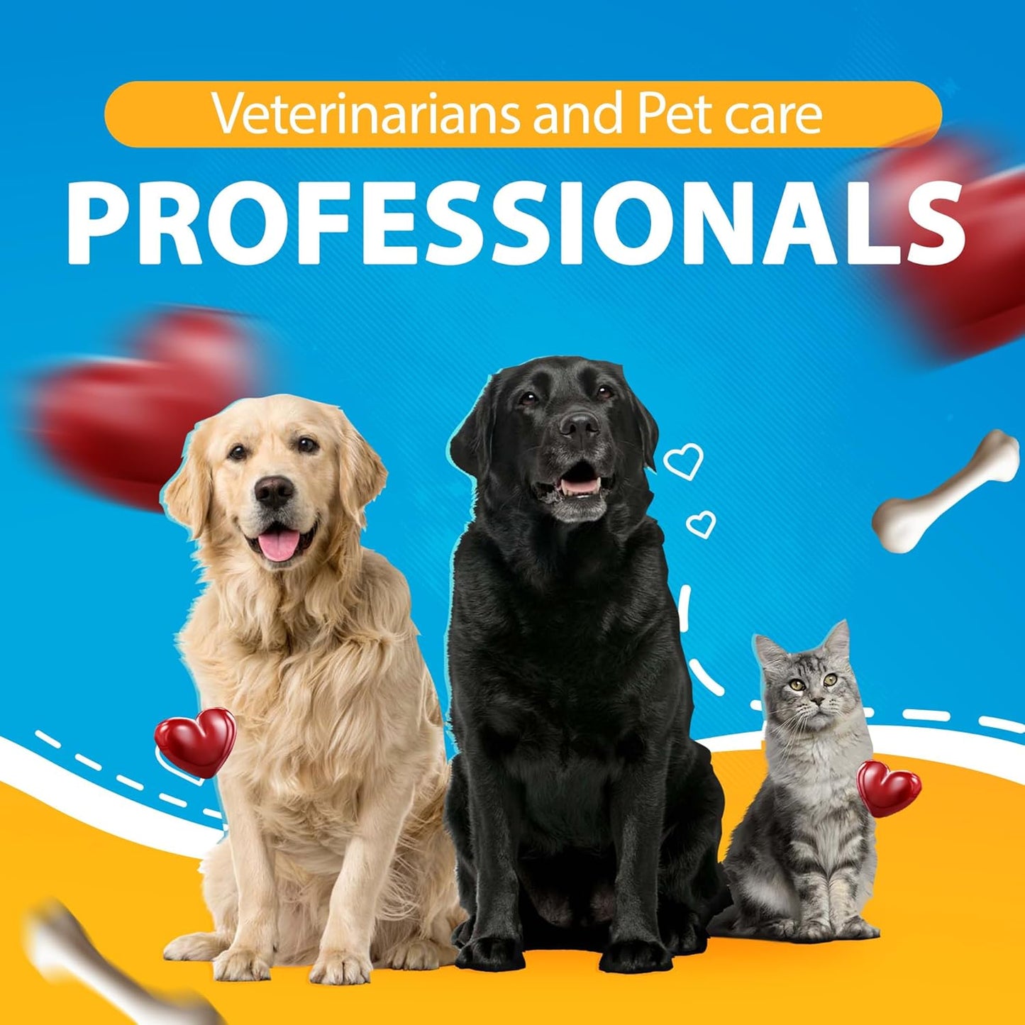 Dog Health Test Kit: 4 Comprehensive Detection Pet Test Strips for Dogs | Pets Rapid At-Home Detection Kits