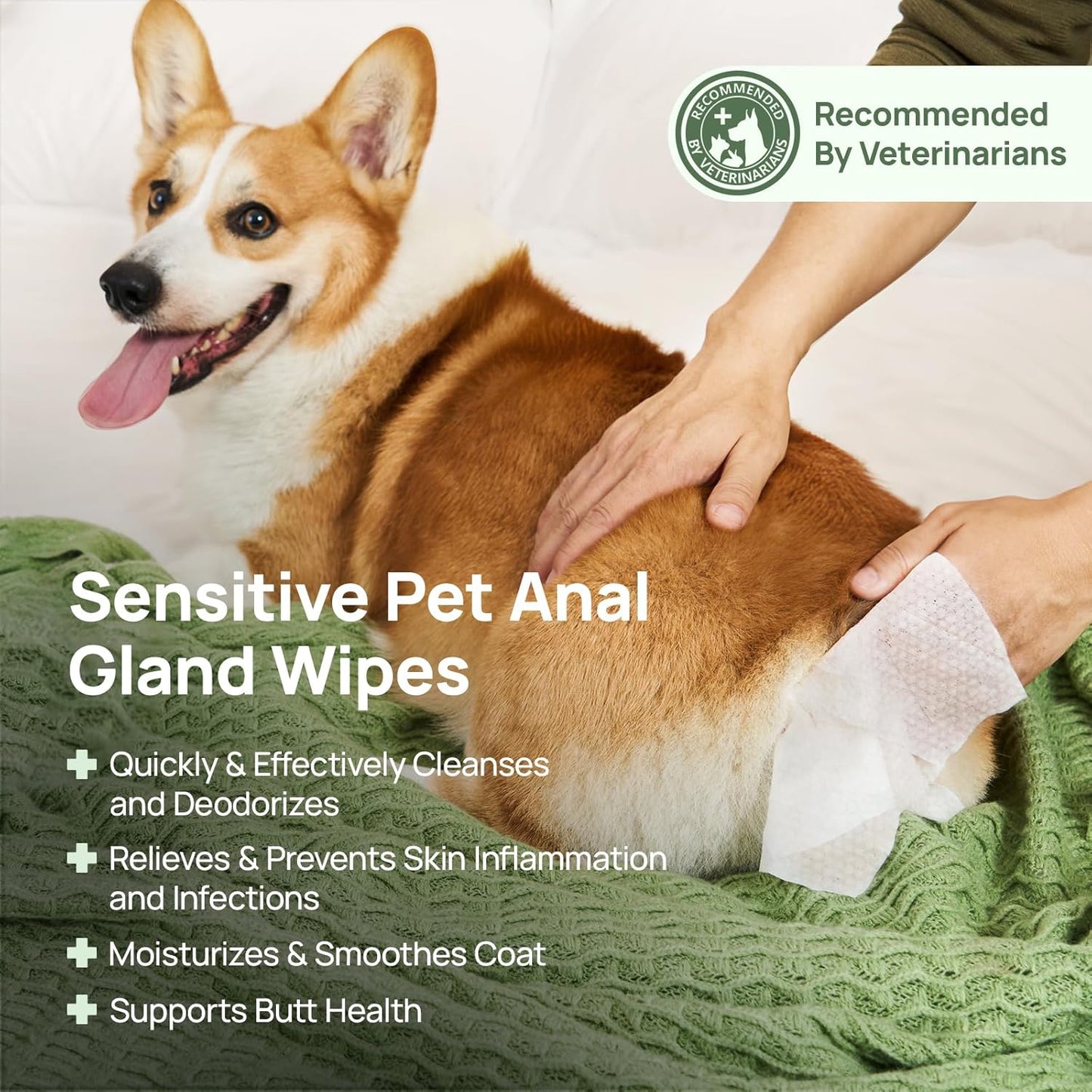HICC PET Wipes for Dogs & Cats, Vet Recommended Cleansing Deodorizing & Soothing Allergy Infections Anal Gland Wipes with Coconut Oil, Dog Wipes for Cleaning Butt Paw