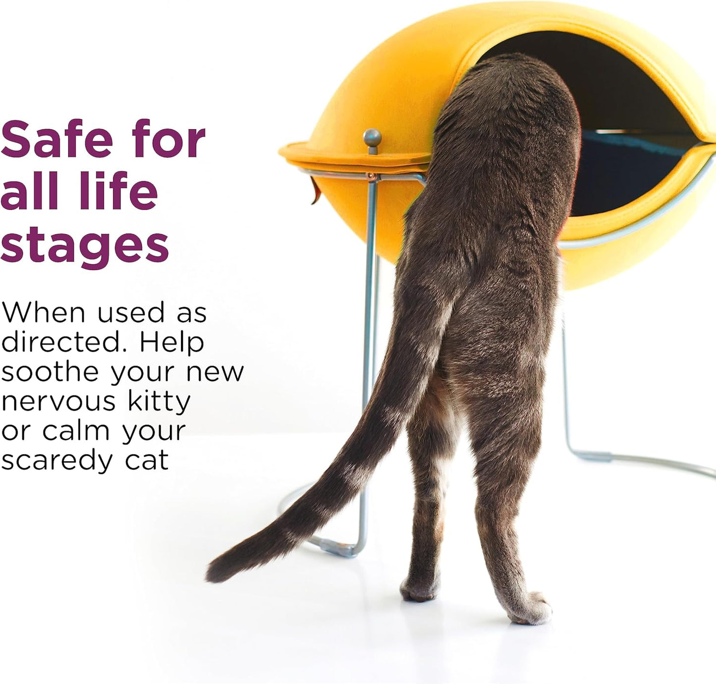 Comfort Zone Cat Calming Pheromone Spray: Travel Size (2 oz)