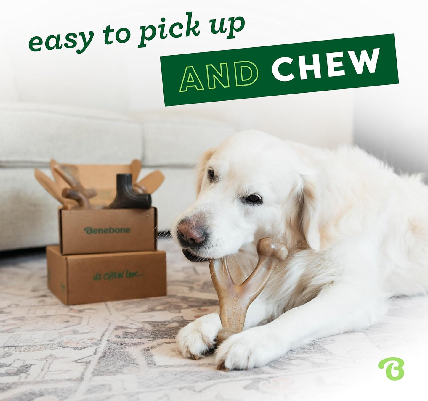 Benebone Medium 4-Pack Dog Chew Toys for Aggressive Chewers, Made in USA, small