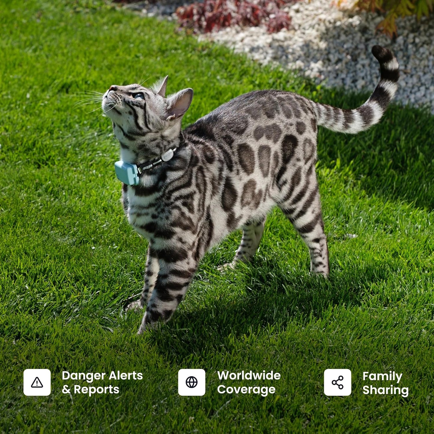 Tractive Smart Cat GPS Tracker | Real-Time Location & Wellness Monitoring for Cats 6.5 lbs+