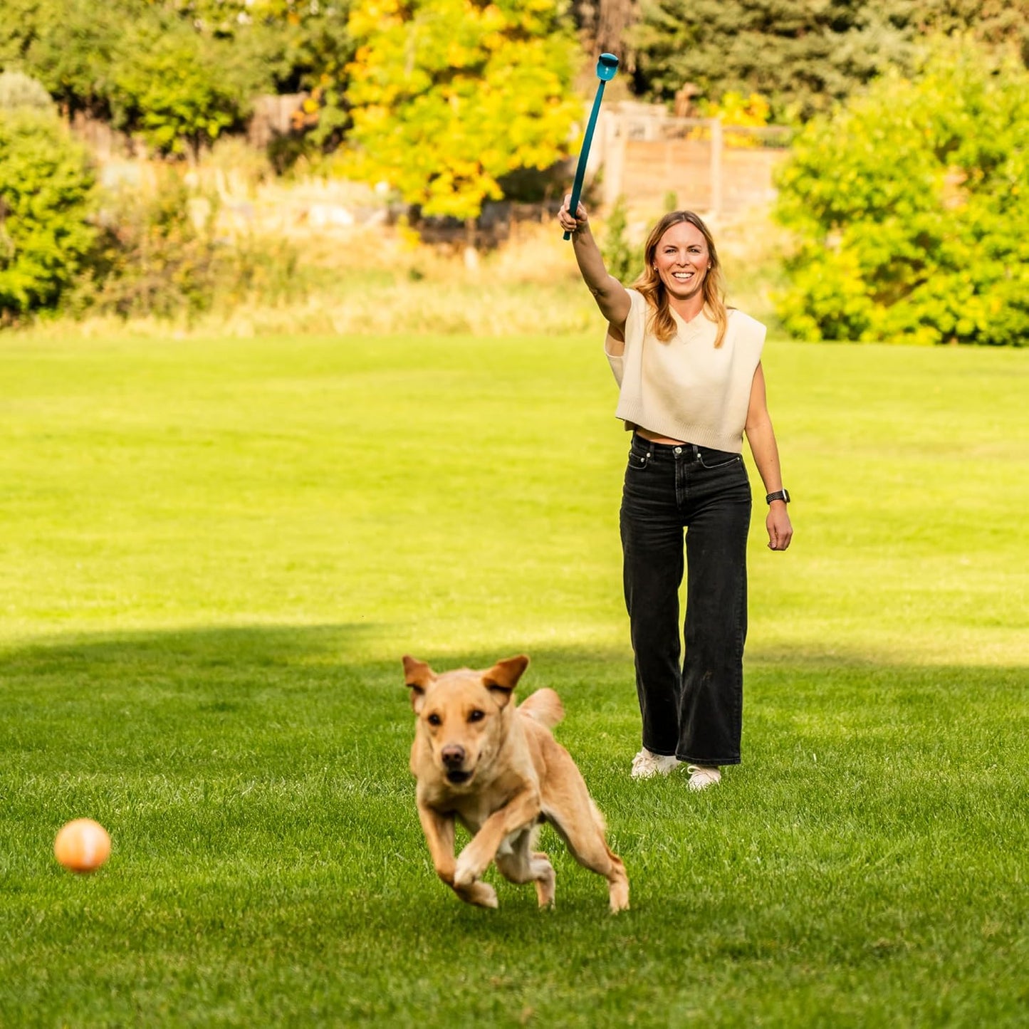 A Ball Dog Ball Launcher with Ergonomic Handle, Interactive Fetch Toy, Comfort Grip, Long-Distance Play, Slobber-Free Pickup