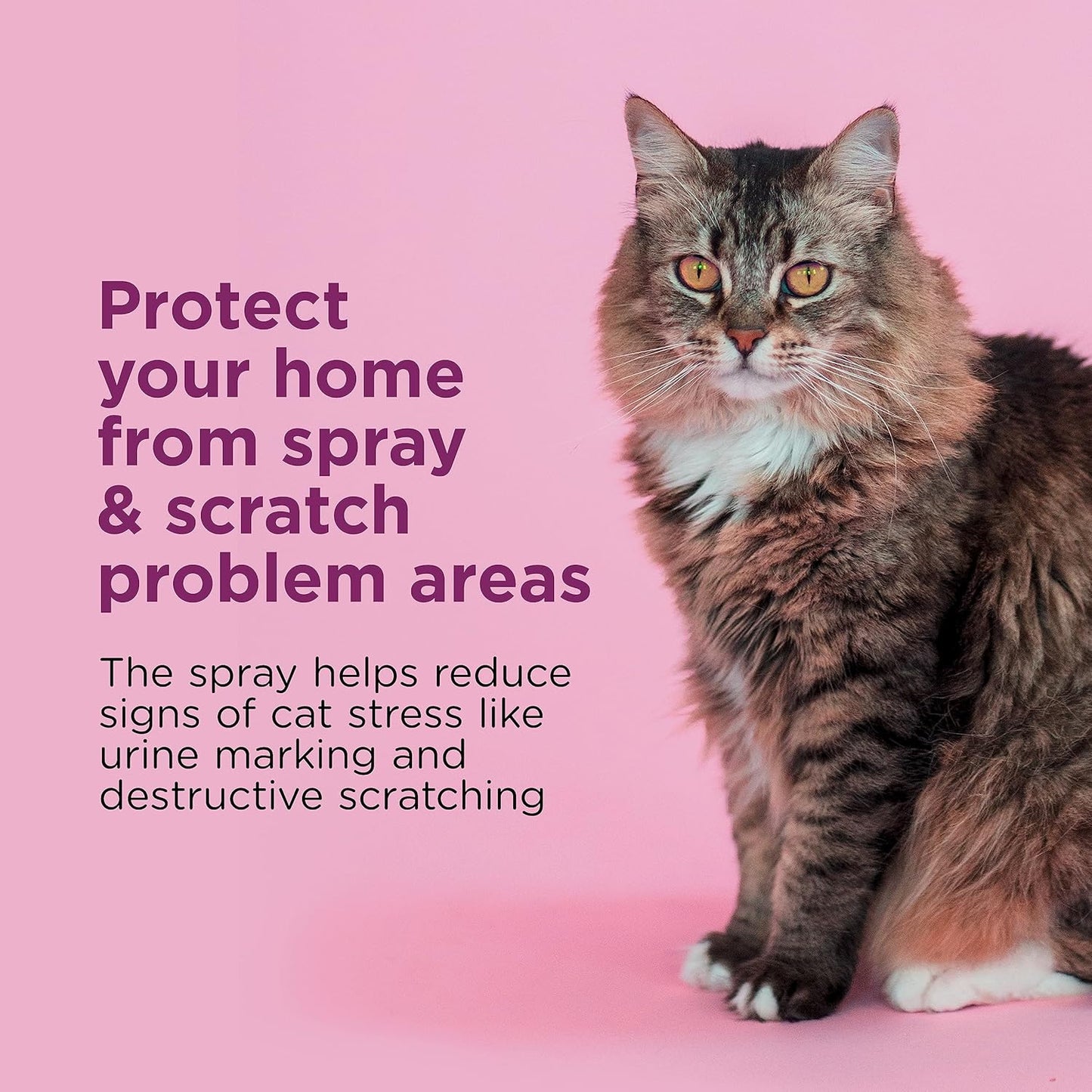 Comfort Zone Cat Calming Pheromone Spray: Travel Size (2 oz)