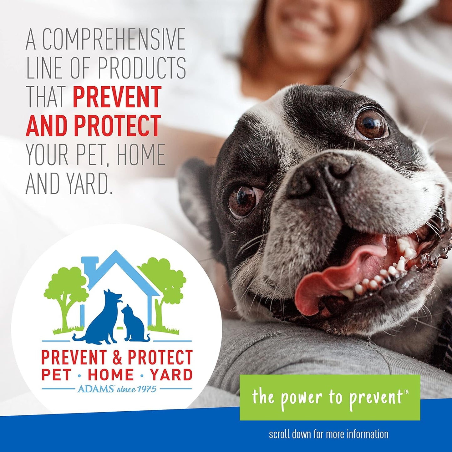 Plus Flea & Tick Shampoo with Precor for Cats, Kittens, Dogs & Puppies