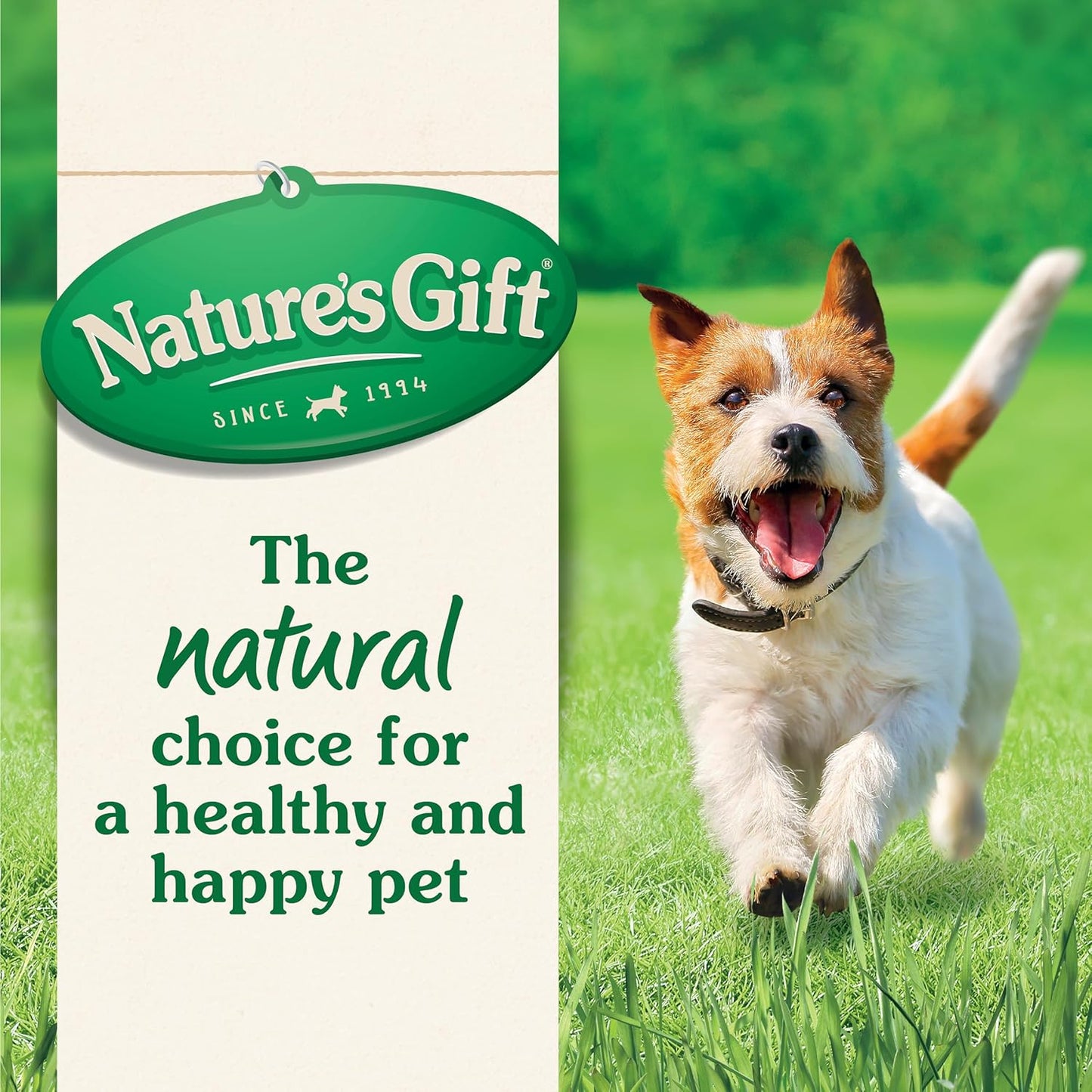 Nature's Gift Adult Wet Dog Food, Strips with Kangaroo in Gravy 9x100g