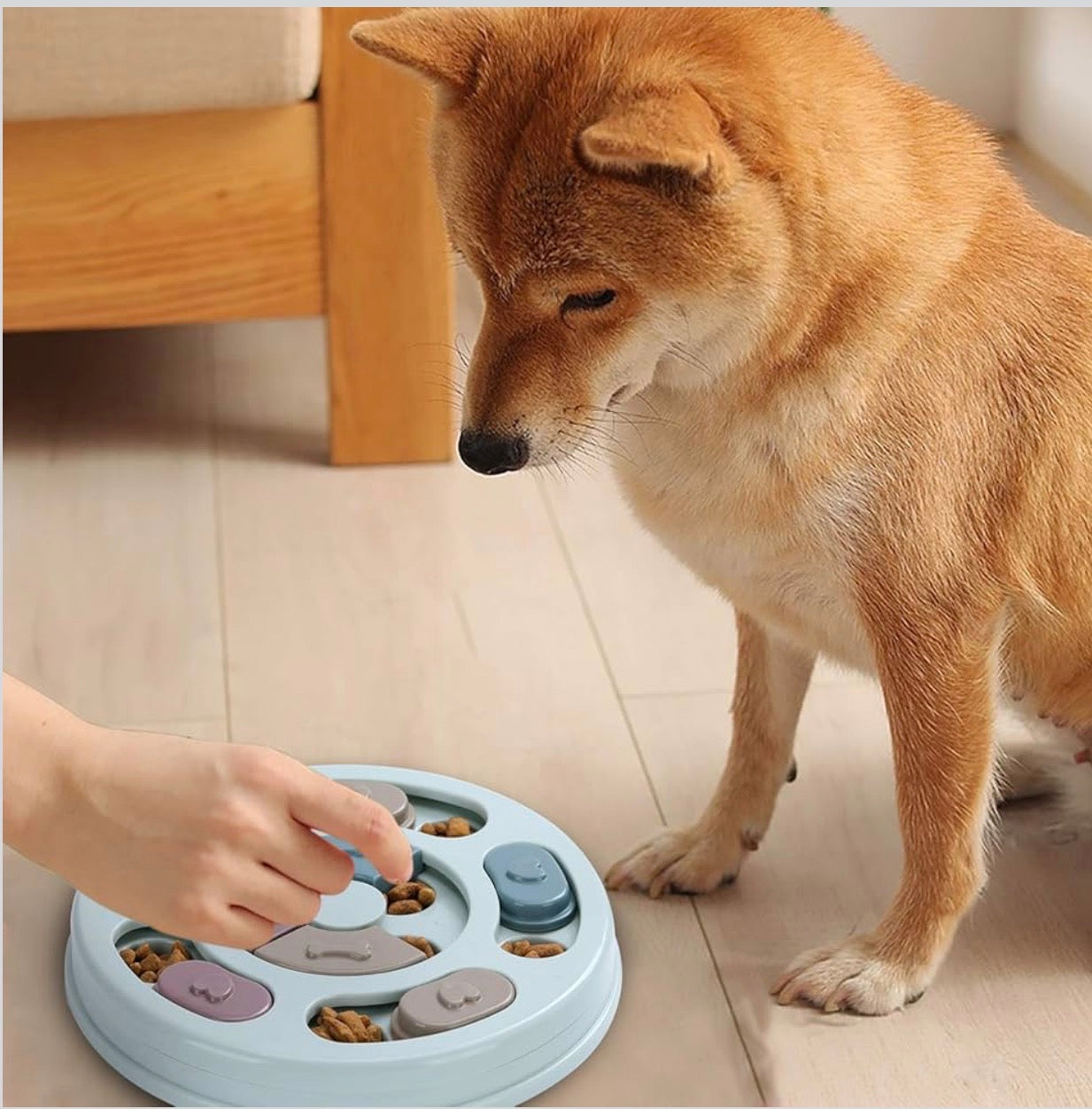 DR CATCH Dog Puzzle,Dogs Food Toys for IQ Training & Mental Enrichment,Dog Treat Puzzle(Blue)