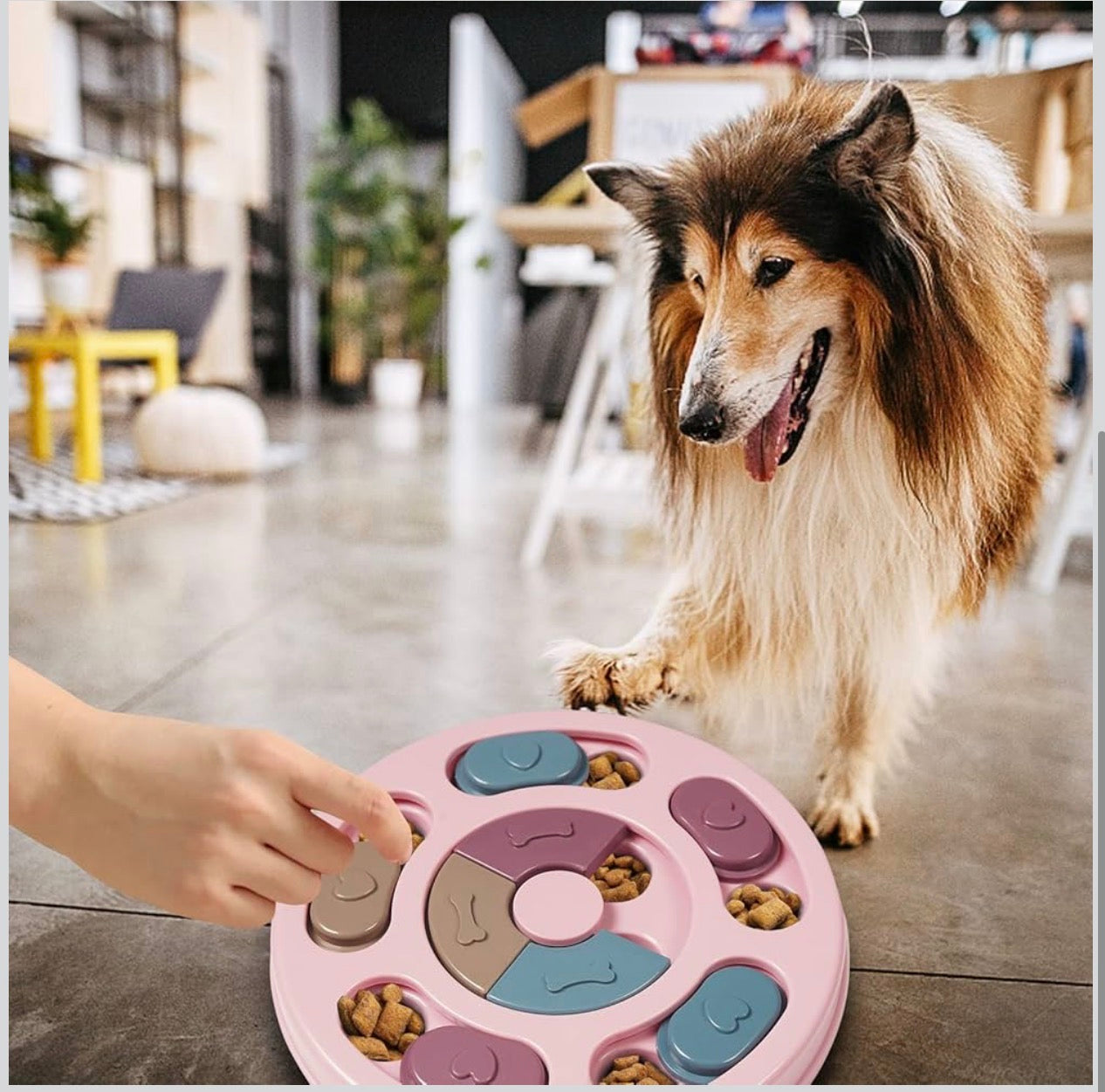 DR CATCH Dog Puzzles,Dogs Food Puzzle Feeder Toys for IQ Training & Mental Enrichment,Dog Treat Puzzle(Pink)