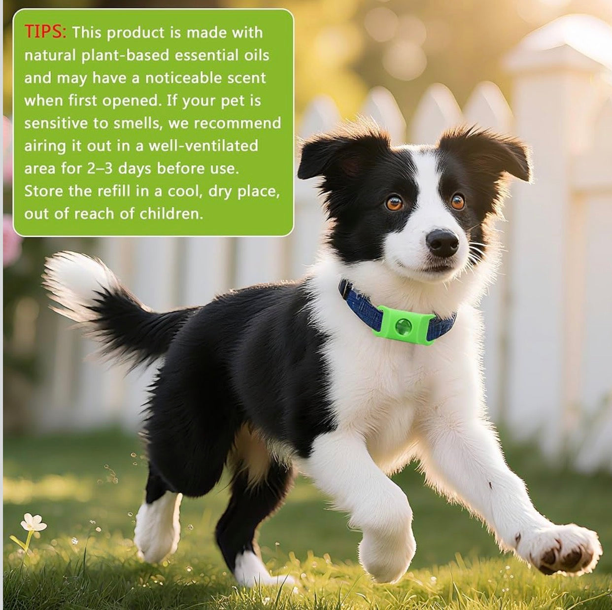 Natural Flea and Tick Prevention Dog Tag – Waterproof Collar Pendant with 4 Extra Refills, Green, Safe for All Breeds