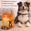 Powerful Allergy Relief Chews for Dogs ,Support Itchy Skin, Boost Immunity 100pc