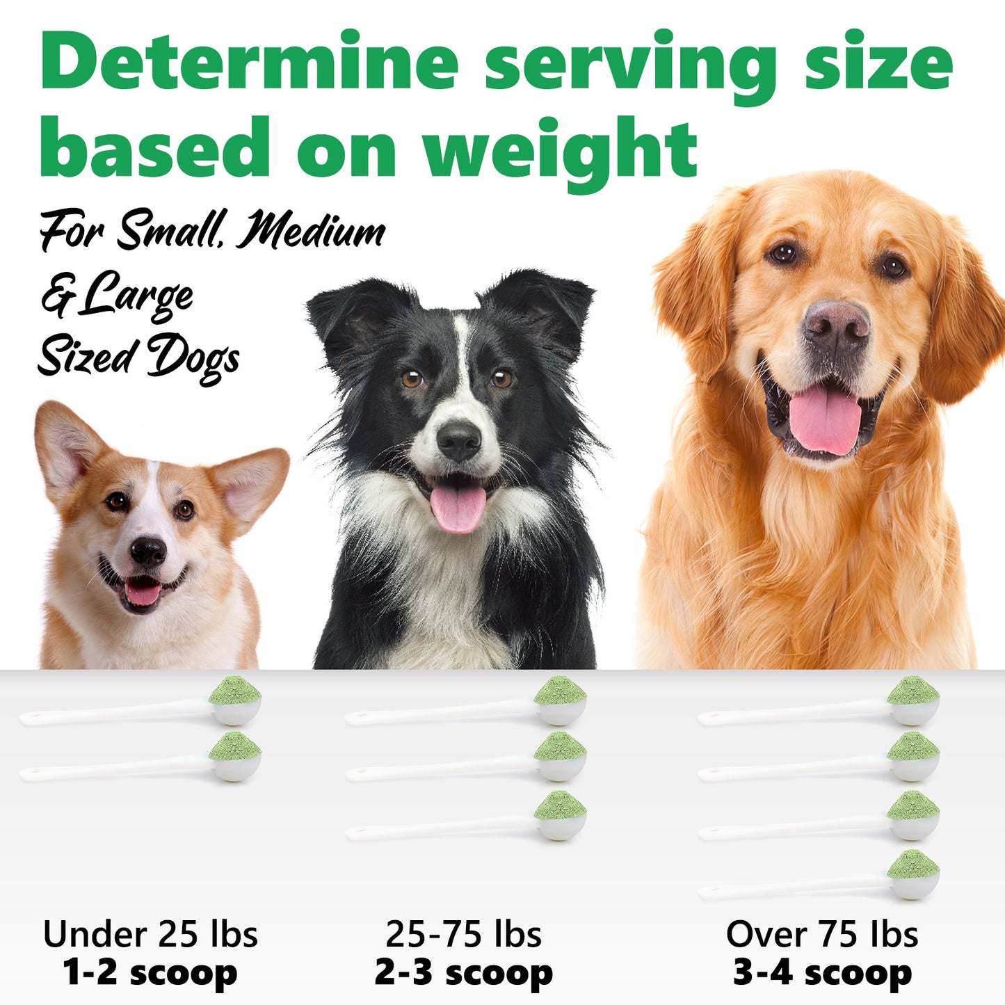 Pet Dental Cleaning Powder – Reduce Plaque, Tartar & Bad Breath