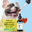 Kennel Cough Relief Drops for Dogs – Soothe Cough & Support Immunity