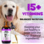 Oimmal 15-in-1 Liquid Multivitamin for Dogs – Immune, Joint, Skin & Heart Support (2 fl oz / 60 mL)