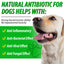 Natural Antibiotic Drops for Dogs – Gentle Daily Immune & Infection Support