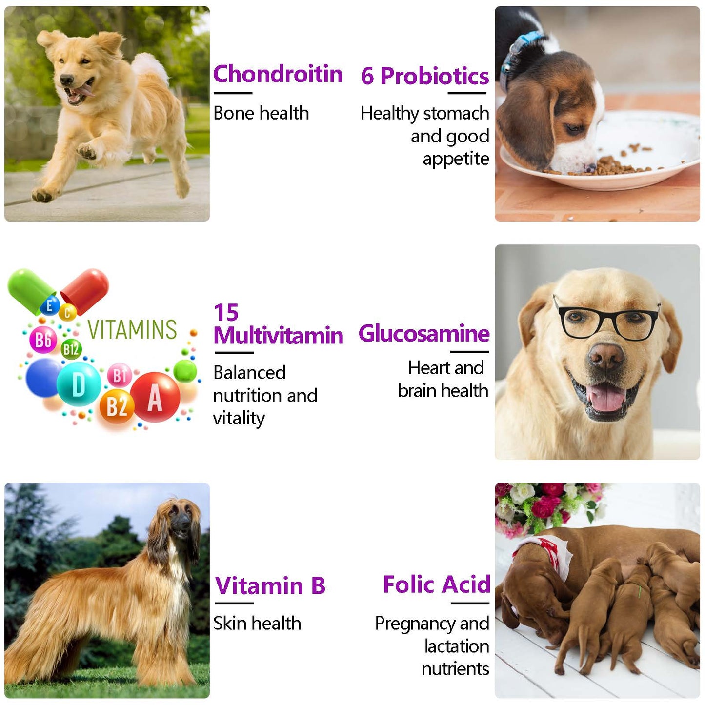 Oimmal 15-in-1 Multivitamin Soft Chews for Dogs – Hip & Joint, Skin & Coat, Gut & Heart Health (150 Count)