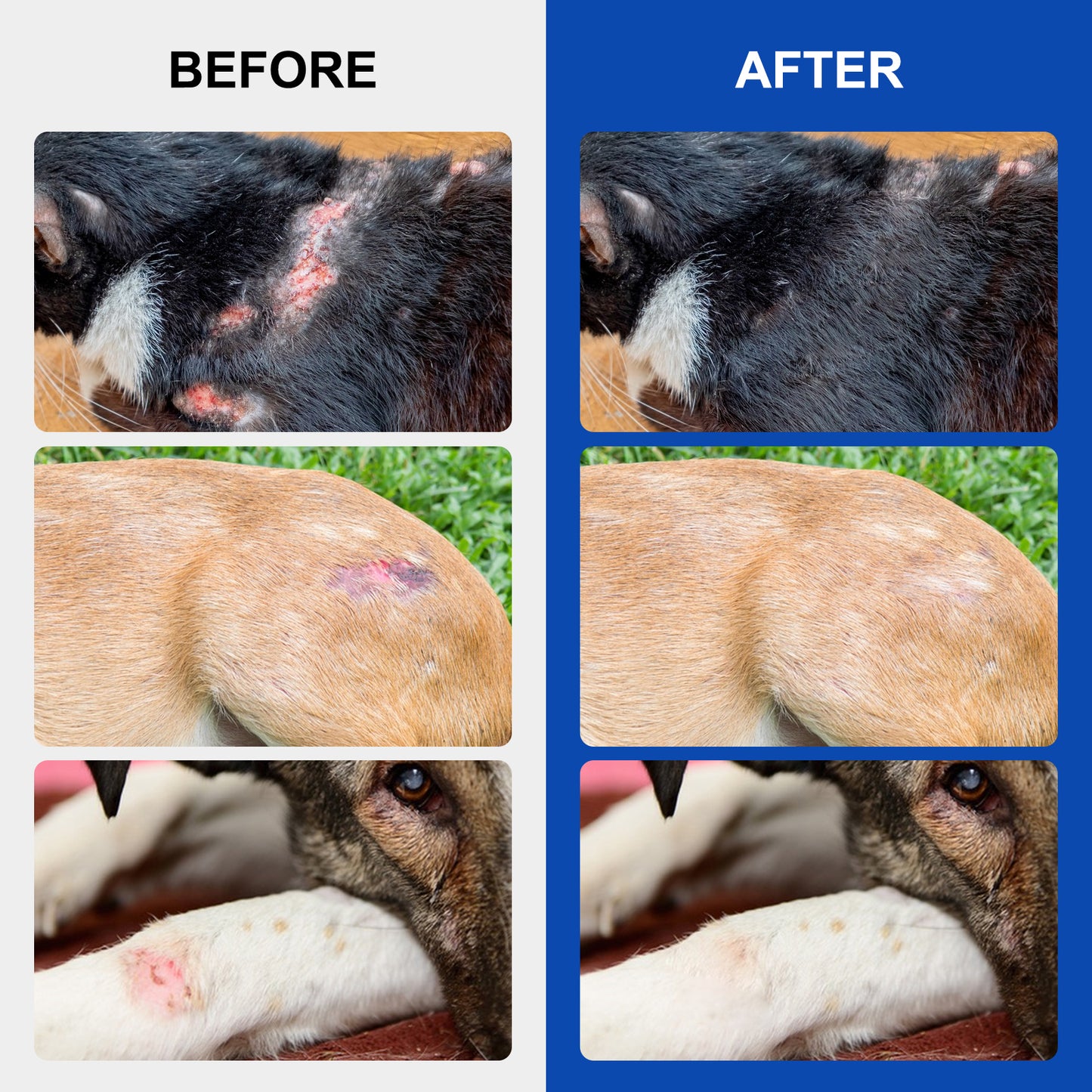 Elaimei Pet Wound Spray – Fast Healing & Pain Relief for Dogs and Cats (30ml)