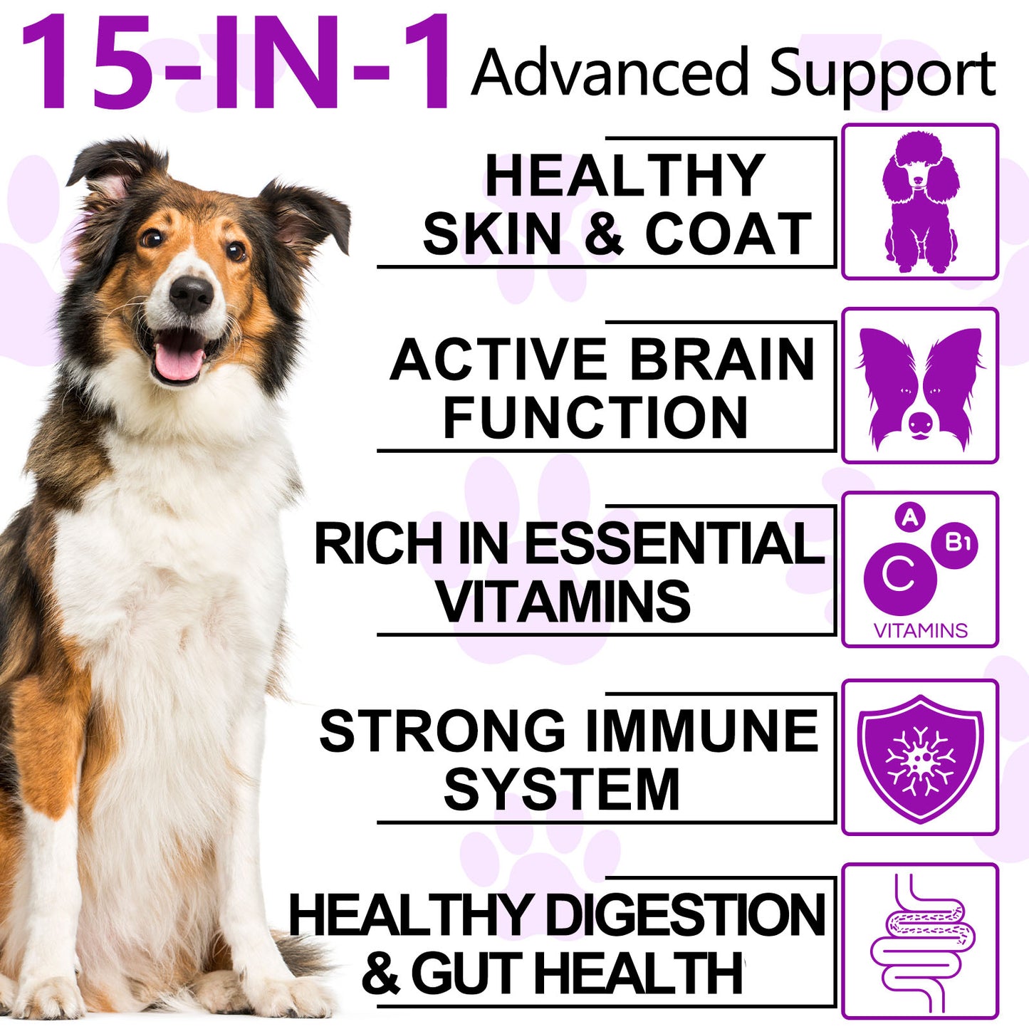 Oimmal 15-in-1 Multivitamin Soft Chews for Dogs – Hip & Joint, Skin & Coat, Gut & Heart Health (150 Count)