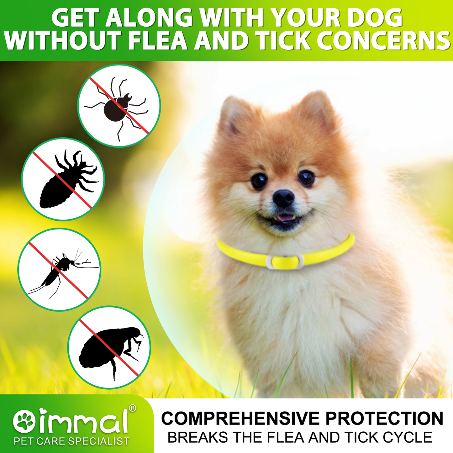 Dog Flea & Tick Collar 4 Pack – Natural Flea and Tick Prevention Collar, Waterproof, Adjustable, Long-Lasting Protection for Small, Medium & Large Dogs | 24 Months Total Protection