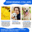 Flea & Tick Collar for Dogs – Long-Lasting Pest Protection, Waterproof & Adjustable