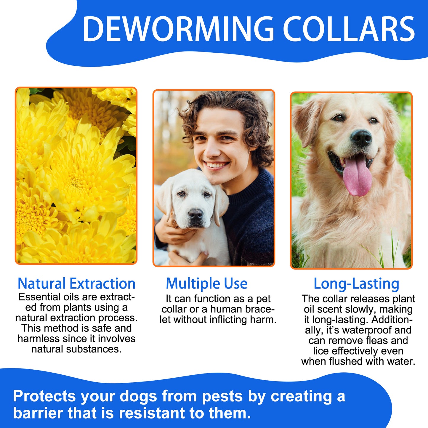 Flea & Tick Collar for Dogs – Long-Lasting Pest Protection, Waterproof & Adjustable
