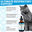 Kennel Cough Relief Drops for Cats – Respiratory & Immune Support Formula 60ml
