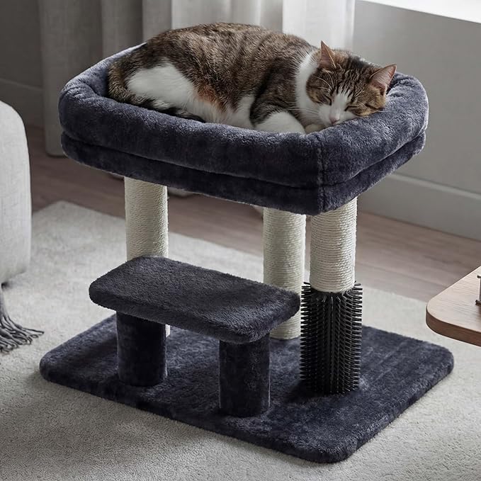 Heybly Cat Scratching Post with Grooming Brush & Gentle Step, HSP001SG | Smoky Gray