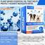 Dog Flea & Tick Collar 4 Pack – Long-Lasting Flea, Tick & Mosquito Protection, Waterproof Adjustable Pest Repellent Collar for Small, Medium & Large Dogs | Up to 24 Months Protection