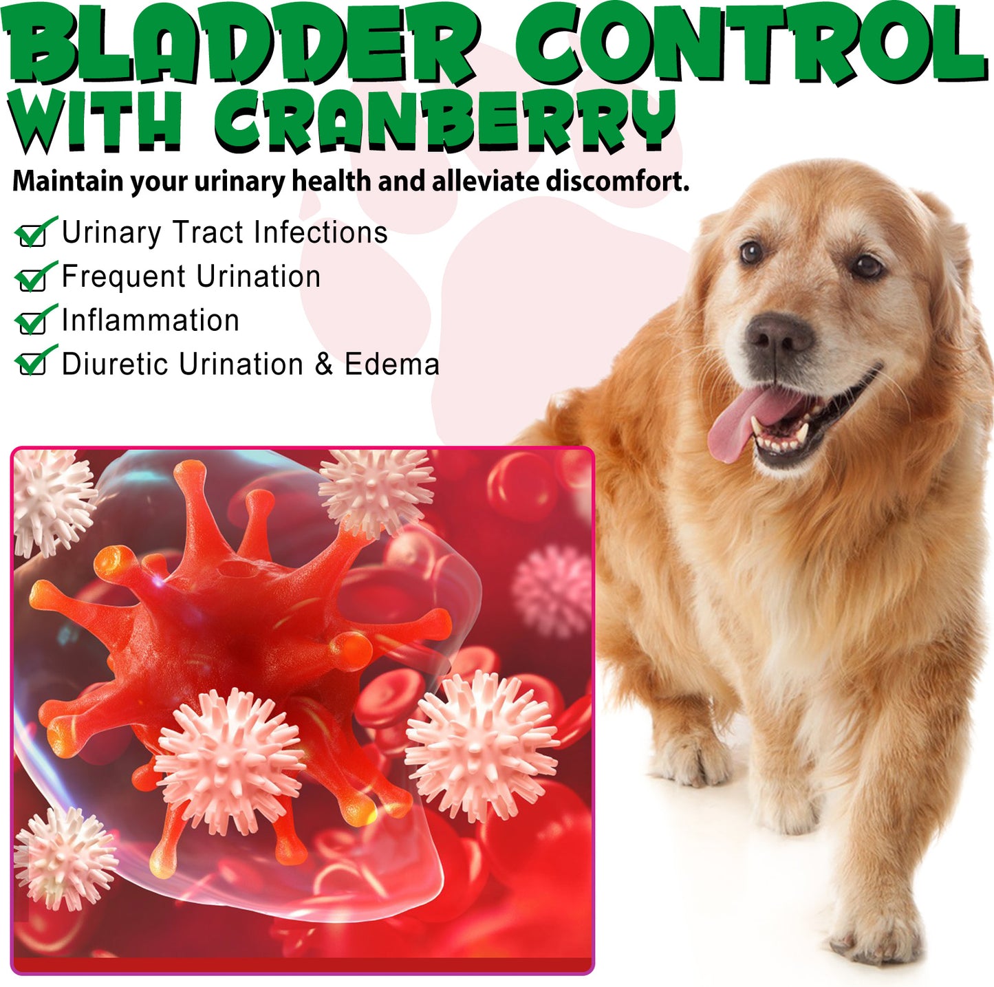 Cranberry Urinary Tract Support for Dogs – Bladder & Kidney Health Drops
